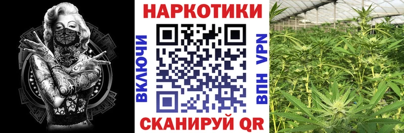 Как найти наркотики Подпорожье Cocaine  гидра tor  Меф  ГАШИШ  Конопля 